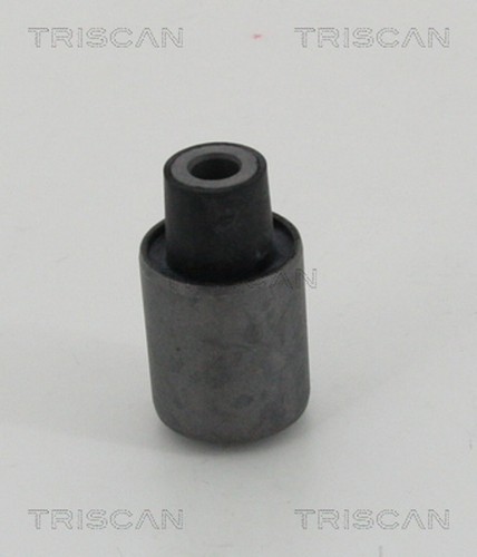 Lagerung lenker triscan - lenker,